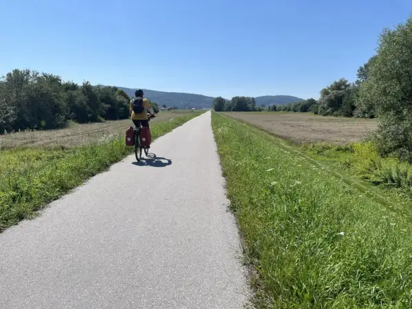 Rowerzysta przemierza malownicze jezioro Rożnowskie, odkrywając jego urokliwe trasy rowerowe.
