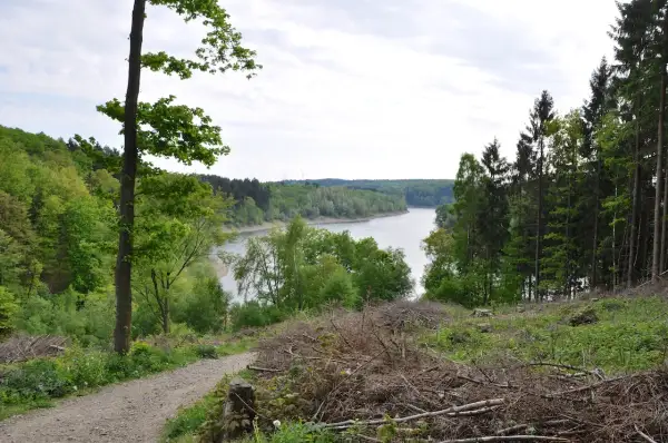 Ein Weg führt am Ufer der Wuppertalsperre entlang, umgeben von üppigem Grün und Bäumen.