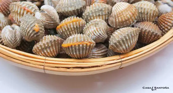 Berberechos al vapor, listos para disfrutar. Su concha rugosa y su interior anaranjado prometen un sabor marino intenso.