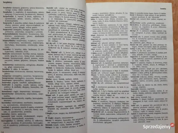 Słownik bliskoznaczny – wzbogac swoje słownictwo i unikaj powtórzeń