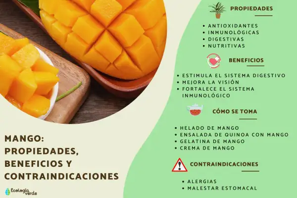 Mango: propiedades antioxidantes, inmunológicas y digestivas. Beneficios para la visión y el sistema inmune.
