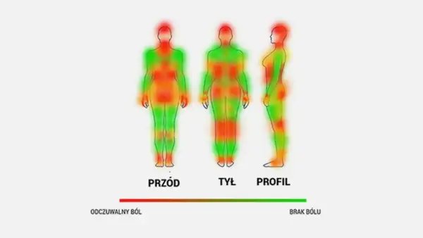 Mapy pokazujące próg bólu dla tatuażu. Czerwone obszary oznaczają większą wrażliwość, zielone mniejszą.