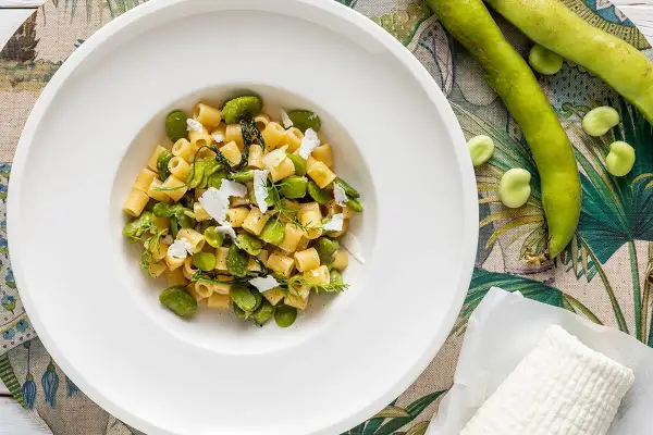 Piatto di pasta con fave fresche, un assaggio della ricetta pasta con le fave fresche alla siciliana, guarnita con ricotta salata e erbe aromatiche.