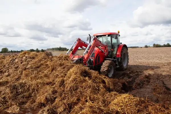 Czerwony traktor z ładowaczem pracuje przy dużej pryzmie obornika na polu.