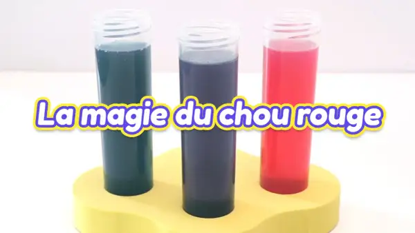 Trois éprouvettes aux couleurs vives (bleu, violet, rouge) montrent la magie du chou rouge pour tester le pH de l'eau sans testeur.
