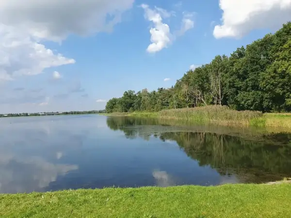 Spokojna tafla wody odbija chmury i zielony las nad zalewem bolimowskim.