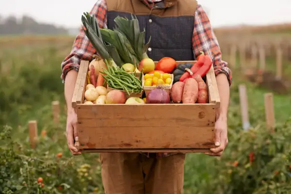 Contadino con cesto di verdure fresche, mele e patate. Un tripudio di prodotti a km zero appena raccolti, pronti per la tavola.