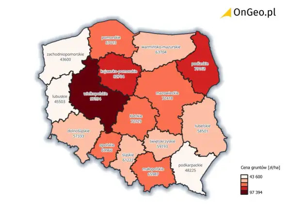 Mapa Polski z cenami gruntów. Wielkopolskie najdroższe, zachodniopomorskie najtańsze. Sprawdź, ile kosztuje hektar ziemi w Twoim regionie.