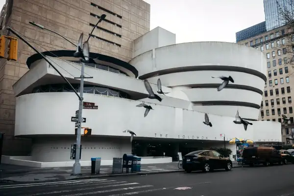 Duvor flyger framför den ikoniska spiralformade Guggenheim-byggnaden. Vem var Guggenheim? En visionär samlare som skapade detta arkitektoniska mästerverk.