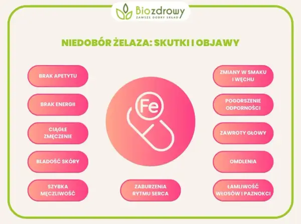 Objawy braku żelaza: brak apetytu, energii, ciągłe zmęczenie, blada skóra, łamliwość włosów i paznokci, pogorszenie odporności.