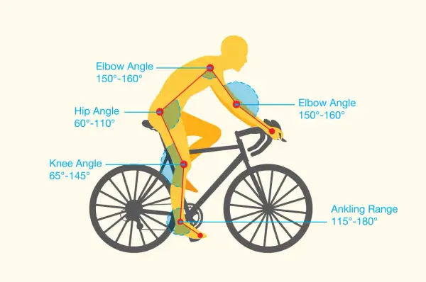 Schemat idealnych kątów ciała rowerzysty podczas bike fitting: kolana 65-145°, biodra 60-110°, łokcie 150-160°.