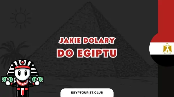 Faraon z dolarami pyta: jakie dolary do Egiptu? Słońce, piramida i flaga Egiptu w tle.