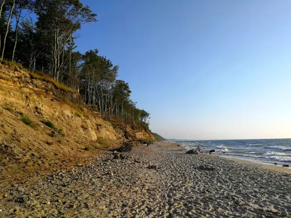 Dębina plaża z klifem porośniętym drzewami. Piasek i kamienie na brzegu, fale rozbijają się o brzeg.