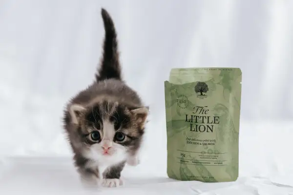 En söt kattunge tittar fram bredvid en påse kattmat "The Little Lion".