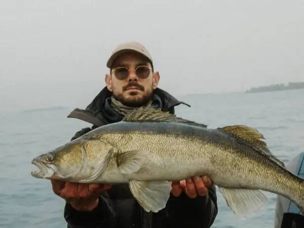 Ein Angler präsentiert stolz seinen Fang: ein prächtiger Zander, gefangen beim Zanderangeln im Sommer.