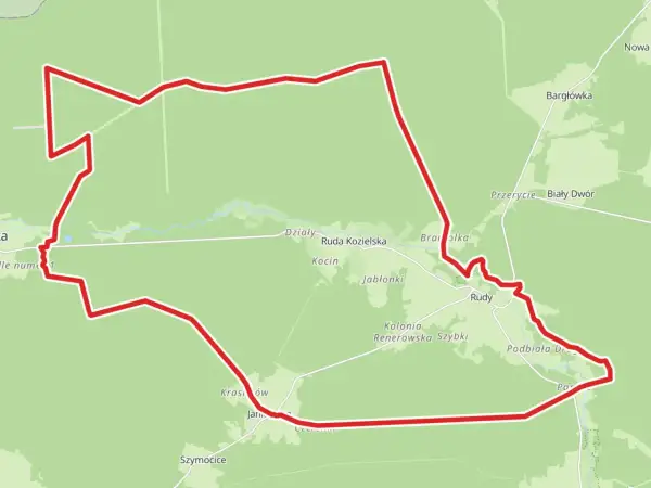 Trasa leśno rajza gpx prowadzi przez Działy, Rudę Kozielską, Rudy i okolice.