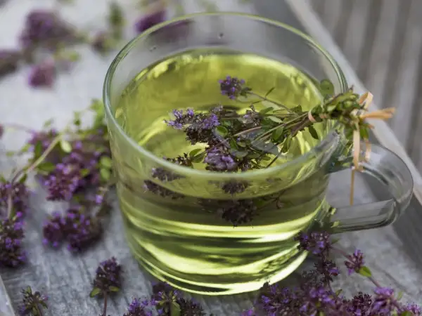 Ein Glas mit goldenem Thymiantee, umgeben von frischen Thymianblüten. Vielleicht ein bisschen zu viel Thymiantee für einen Schluck.
