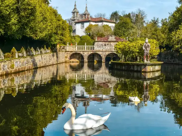 Un cisne blanco nada en un estanque frente a un puente de piedra y un palacio, un lugar encantador que ver cerca de Santiago de Compostela.