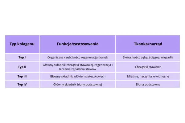 Tabela porównująca typy kolagenu: I (skóra, kości), II (chrząstki stawowe), III (mięśnie), IV (błony). Pomaga zdecydować, jaki kolagen wybrać.