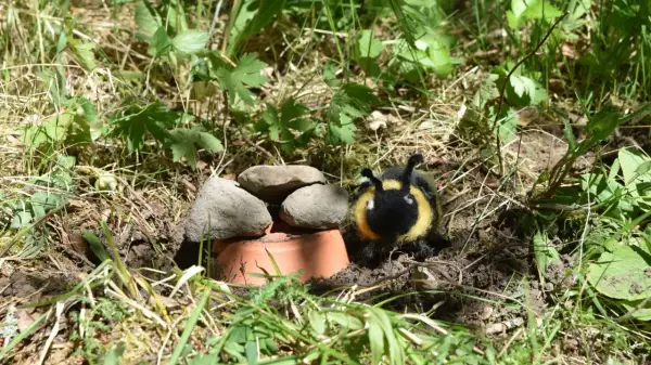 En liten humla tittar på sitt nya hem, ett humlebo byggt av stenar och en kruka.