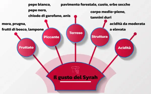 Il gusto del Syrah: fruttato, piccante, terroso, con struttura e acidità. Note di mora, pepe, spezie e sentori della valle del Rodano.
