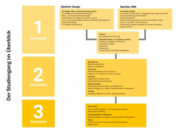 Studienübersicht für ein Brand Manager Studium: Module für Bachelor Design und BWL, aufgeteilt in 3 Semester, mit Fokus auf Marketing, Branding und strategischem Management.