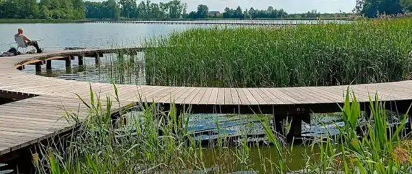 Spokojny wędkarz na drewnianej kładce nad jeziorem słupeckim, otoczony szuwarami.