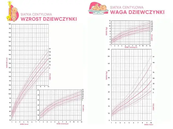Wykresy siatek centylowych wzrostu i wagi dziewczynki. Dziecko wybiera tylko jeden kolor, by zaznaczyć swój rozwój.