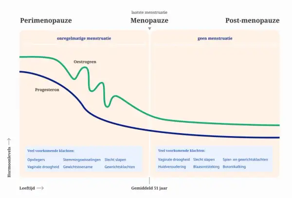 Grafiek toont hormoonniveaus tijdens de overgang. Progesteron daalt, wat kan leiden tot teveel progesteron overgang symptomen.