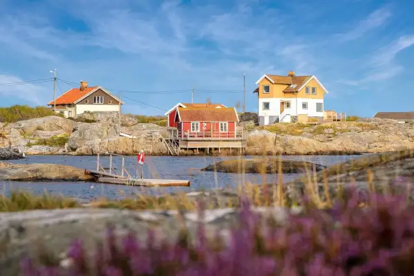 Solvik Kungshamn: Röda och gula hus på klippor vid vattnet, med en brygga och ljung i förgrunden.