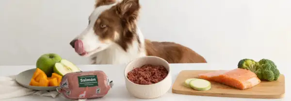 Perro curioso olisquea ingredientes para dieta barf cachorros: salmón, calabaza, manzana, calabacín y brócoli.