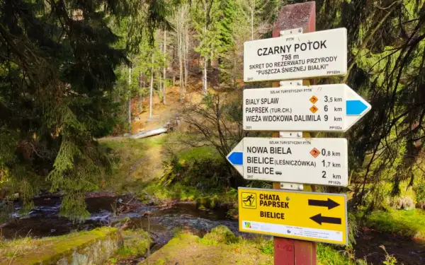 Jakie szlaki w góry? Kolory, trudność, bezpieczeństwo. Przewodnik