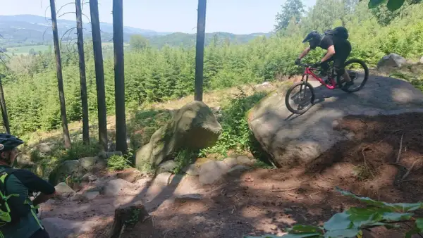 Mountainbiker meistert felsige, schnelle Trails in einem sonnigen Wald.