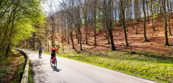 Två personer cyklar på en asfalterad väg genom en lummig skog. Solen lyser genom träden och skapar ett vackert mönster på marken. En idyllisk scen som visar upp Sveriges vackra cykelleder.