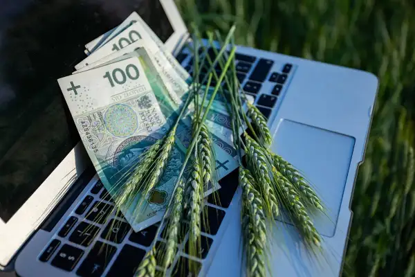 Złote polskie i kłosy zboża na klawiaturze laptopa. Czas na złożenie wniosków o dopłaty rolnicze.