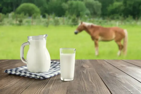 Dzbanek i szklanka świeżego mleka na drewnianym stole. W tle pasie się koń. To jak naturalny alkohol z mleka, prosto z natury.