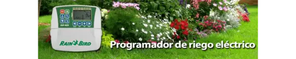 Cómo elegir un programador de riego sencillo para un jardín sin complicaciones