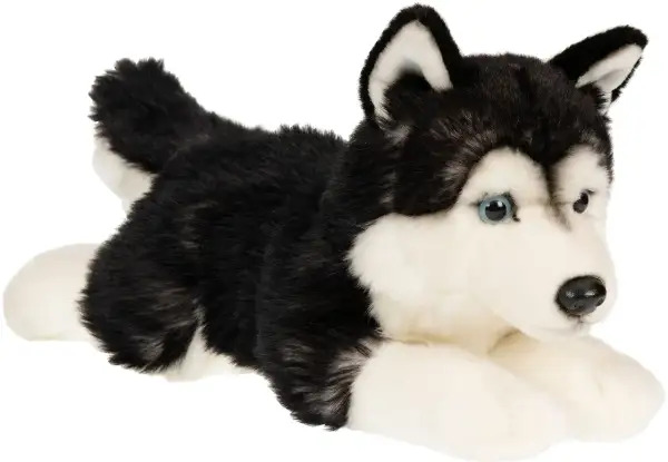 Najlepsze zabawki husky: interaktywne, pluszowe i ich ceny