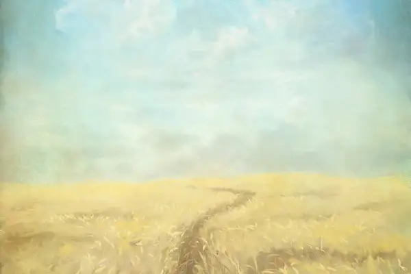 Camino en un campo dorado bajo un cielo azul y nublado. "Yo soy el que soy", dice la naturaleza.
