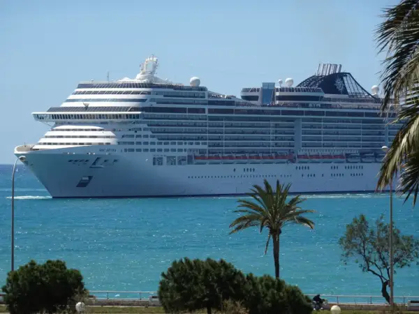Ogromny statek wycieczkowy MSC Divina płynie po turkusowym morzu, z palmami i zielenią na pierwszym planie.