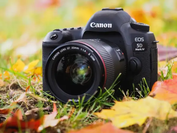 Canon EOS 5D Mark IV z obiektywem 35mm f/1.4 na tle jesiennych liści. Idealny sprzęt do uchwycenia piękna przyrody.