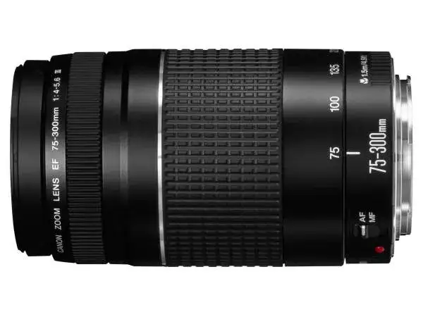Obiektyw 75-300 mm: Rewelacyjne zastosowania w różnych rodzajach fotografii