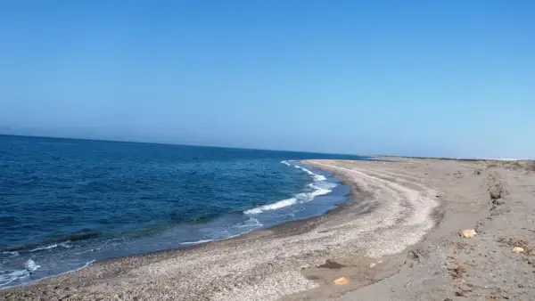 Mar azul y cielo despejado en **Punta Entinas**. La arena y las conchas forman una curva suave hacia el mar.