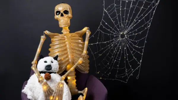 A skeleton with a plush dog, perfect for spooky halloween decorating ideas indoor. A light-up spiderweb adds to the eerie ambiance.