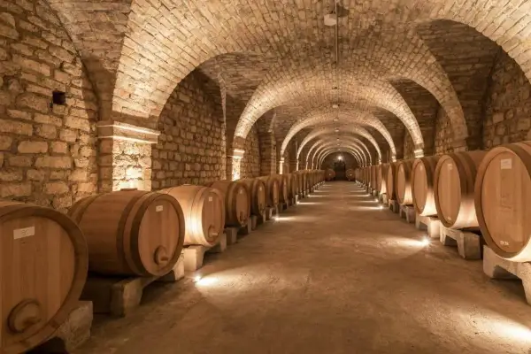 Allées voûtées d'une cave à vin à Beaune, remplies de rangées de fûts en bois. Une visite de cave Beaune inoubliable.