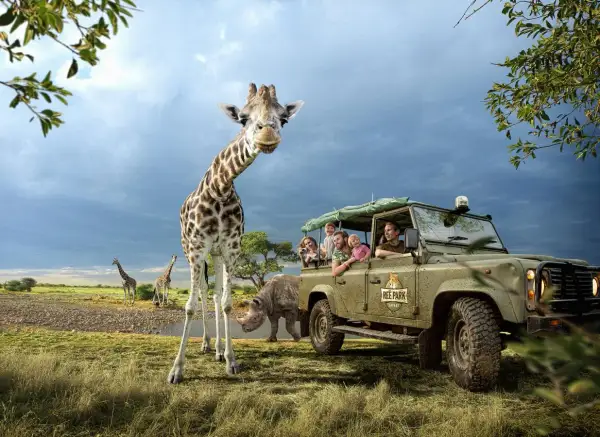 En familj på safari i Danmark möter en nyfiken giraff. En noshörning syns i bakgrunden.