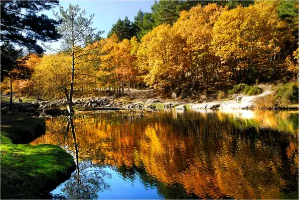 Reflejos dorados de otoño en un lago sereno en Rascafría, Madrid.