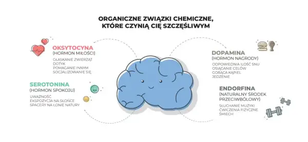 Dopamina, hormon nagrody, uwalnia się przy osiąganiu celów, jedzeniu i innych przyjemnościach. Schemat pokazuje też oksytocynę, serotoninę i endorfiny.