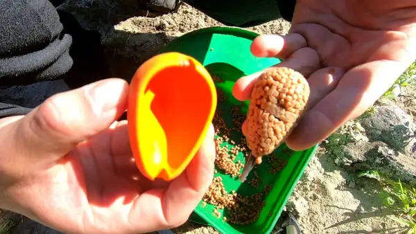 Jak zakładać pellet na haczyk - uniknij najczęstszych błędów w wędkowaniu