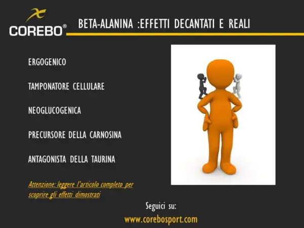 Beta-alanina: ergo, tampone cellulare, precursore carnosina. Scopri a cosa serve per migliorare le prestazioni.